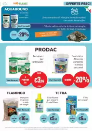 Volantino ZooPlanet Pagina 11