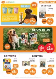 Volantino ZooPlanet Pagina 3