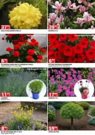 Merkury Market gazetka Strona 6