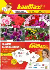 Baumax leták Strana 1