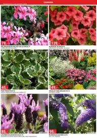 Baumax leták Strana 2