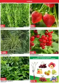 Baumax leták Strana 3