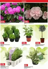 Baumax leták Strana 4