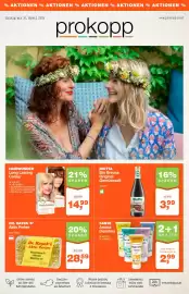 Prokopp Flugblatt Seite 1