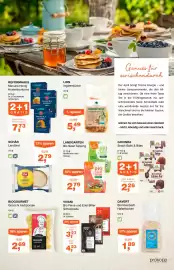 Prokopp Flugblatt Seite 3