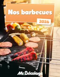 Mr Bricolage folder Pagina 1