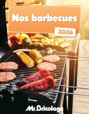 Mr Bricolage (geldig t/m 31-12)