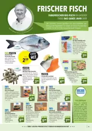 CITTI Markt Prospekt Seite 11