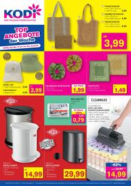 KODi Prospekt woche 18 Seite 2