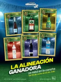 Folleto Bodegas Alianza Página 42