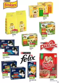 Ratio leták Strana 13