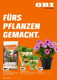 OBI Flugblatt Seite 1
