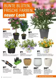 OBI Flugblatt Seite 2