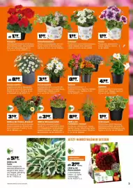 OBI Flugblatt Seite 3