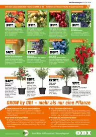 OBI Flugblatt Seite 7