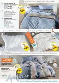 Reiter Flugblatt Seite 1