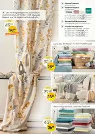 Reiter Flugblatt Seite 2