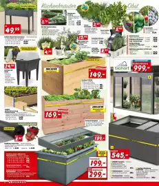 Bauhaus Flugblatt Seite 2