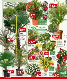 Bauhaus Flugblatt Seite 4