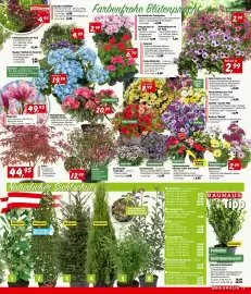 Bauhaus Flugblatt Seite 5