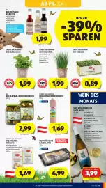 Hofer Flugblatt woche 14 Seite 13