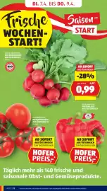 Hofer Flugblatt woche 14 Seite 14