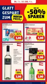 Hofer Flugblatt woche 14 Seite 19