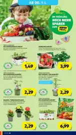 Hofer Flugblatt woche 14 Seite 32