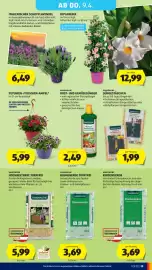 Hofer Flugblatt woche 14 Seite 33