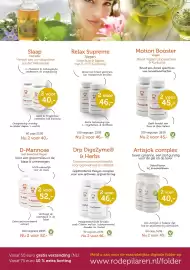 De Rode Pilaren folder Pagina 5