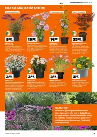 OBI Prospekt Seite 11