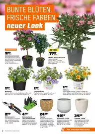 OBI Prospekt Seite 2