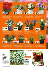 OBI Prospekt Seite 3