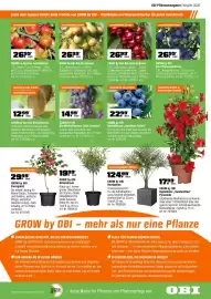 OBI Prospekt Seite 7