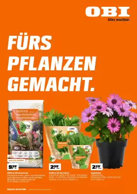 OBI (gültig bis 30-04)