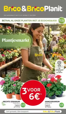 Brico (geldig t/m 31-05)