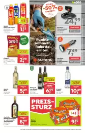 ADEG Flugblatt woche 15 Seite 9