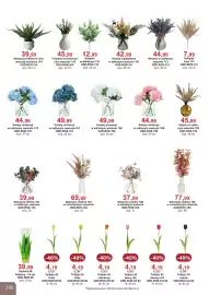 Meble Bodzio katalog Strona 206