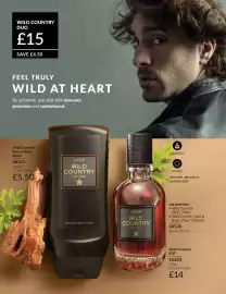 Avon catalogue Page 92