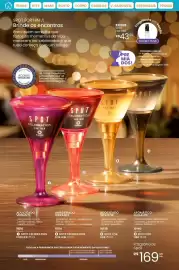 Catálogo Hinode Página 25