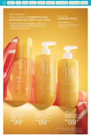 Catálogo Hinode Página 45