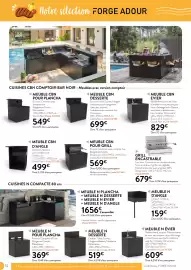 Catalogue RAGT Jardin & Maison page 10