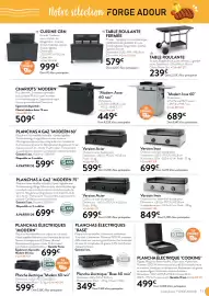 Catalogue RAGT Jardin & Maison page 11