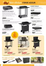 Catalogue RAGT Jardin & Maison page 12