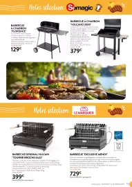 Catalogue RAGT Jardin & Maison page 13