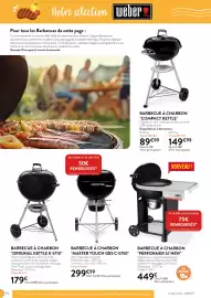 Catalogue RAGT Jardin & Maison page 14