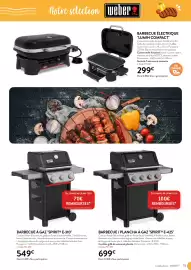 Catalogue RAGT Jardin & Maison page 15