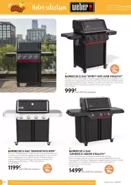 Catalogue RAGT Jardin & Maison page 16