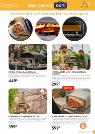 Catalogue RAGT Jardin & Maison page 17