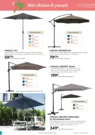 Catalogue RAGT Jardin & Maison page 6